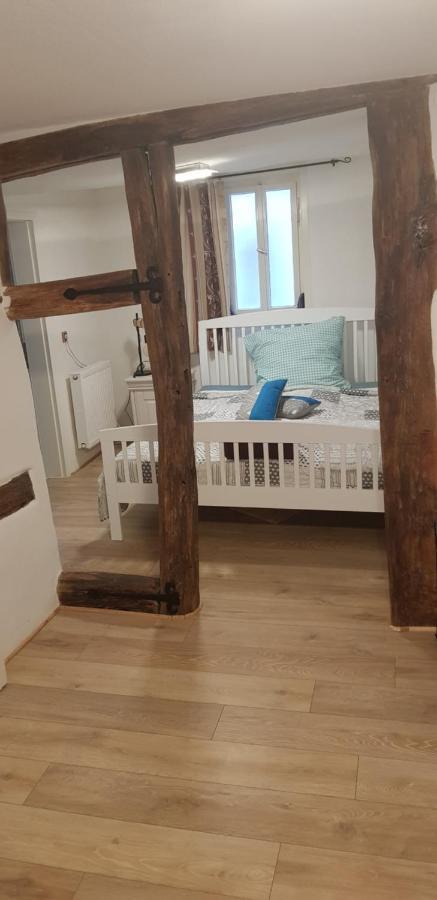 Zauberhafte Wohnung In Der Naehe Von Heidelberg, Top Lage Hirschhorn Exterior foto