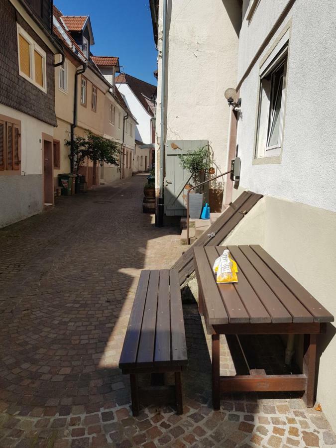 Zauberhafte Wohnung In Der Naehe Von Heidelberg, Top Lage Hirschhorn Exterior foto