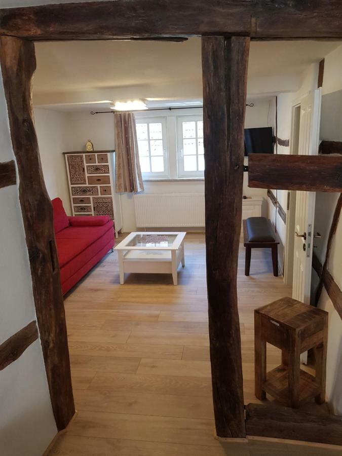 Zauberhafte Wohnung In Der Naehe Von Heidelberg, Top Lage Hirschhorn Exterior foto