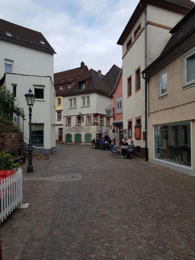 Zauberhafte Wohnung In Der Naehe Von Heidelberg, Top Lage Hirschhorn Exterior foto