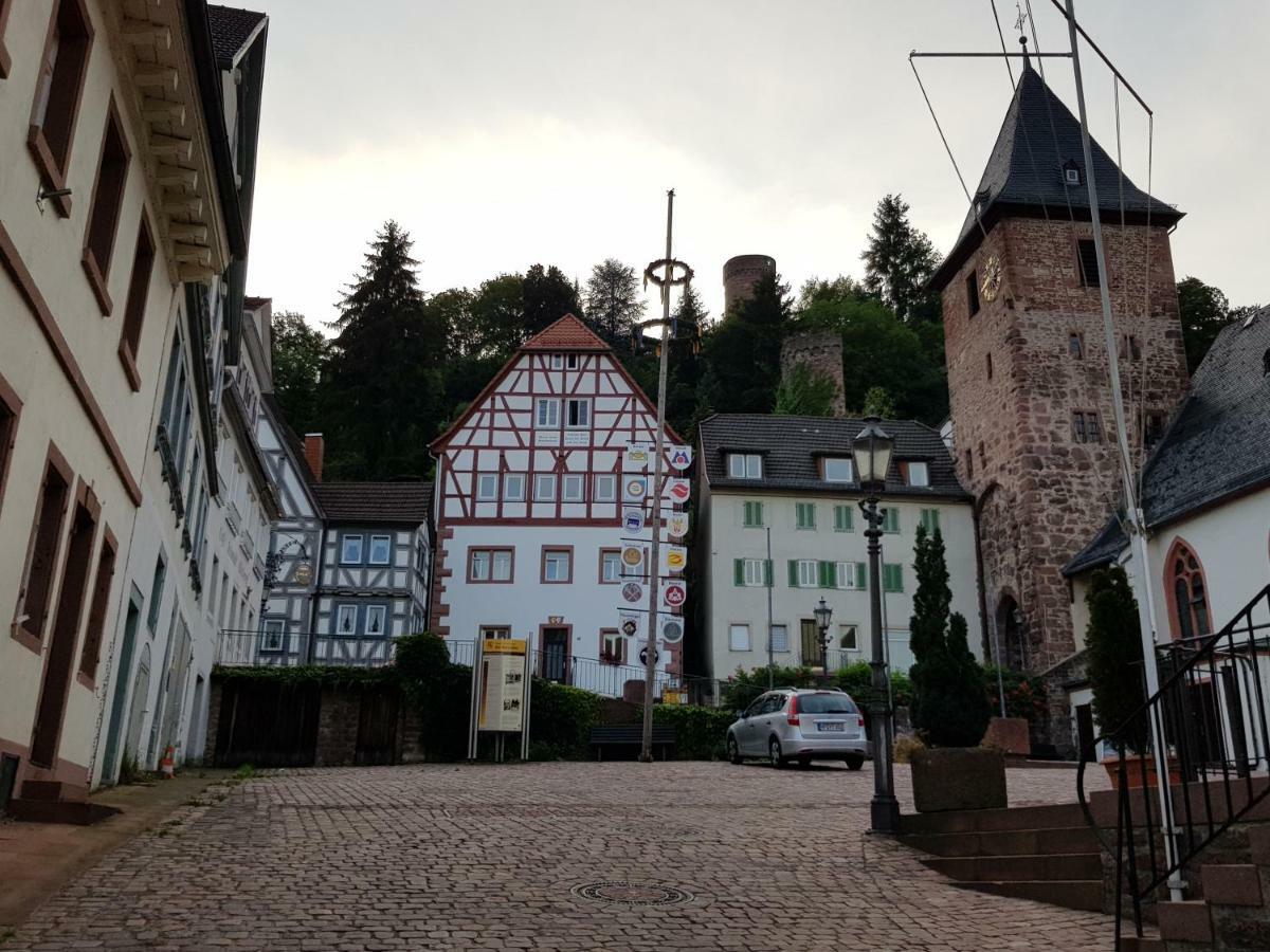 Zauberhafte Wohnung In Der Naehe Von Heidelberg, Top Lage Hirschhorn Exterior foto