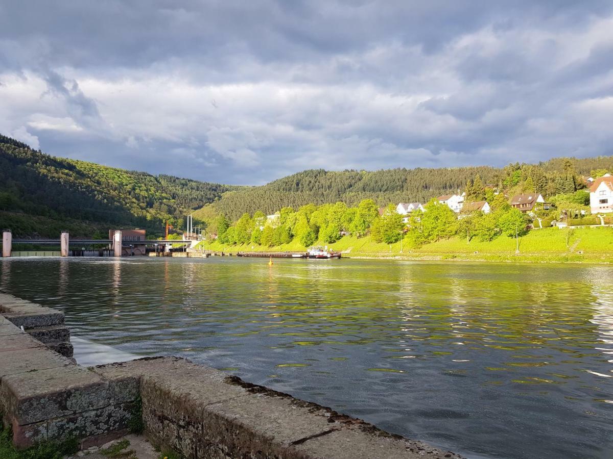 Zauberhafte Wohnung In Der Naehe Von Heidelberg, Top Lage Hirschhorn Exterior foto