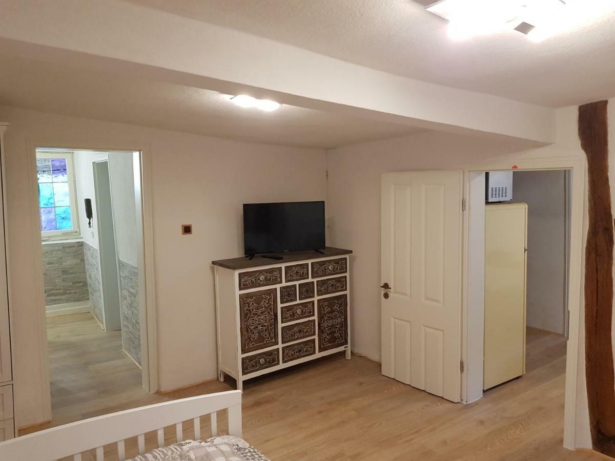 Zauberhafte Wohnung In Der Naehe Von Heidelberg, Top Lage Hirschhorn Exterior foto