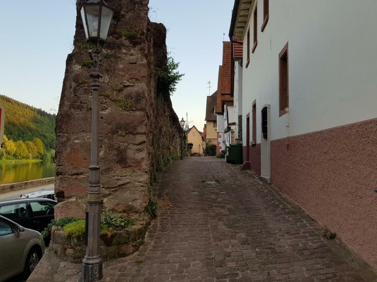 Zauberhafte Wohnung In Der Naehe Von Heidelberg, Top Lage Hirschhorn Exterior foto