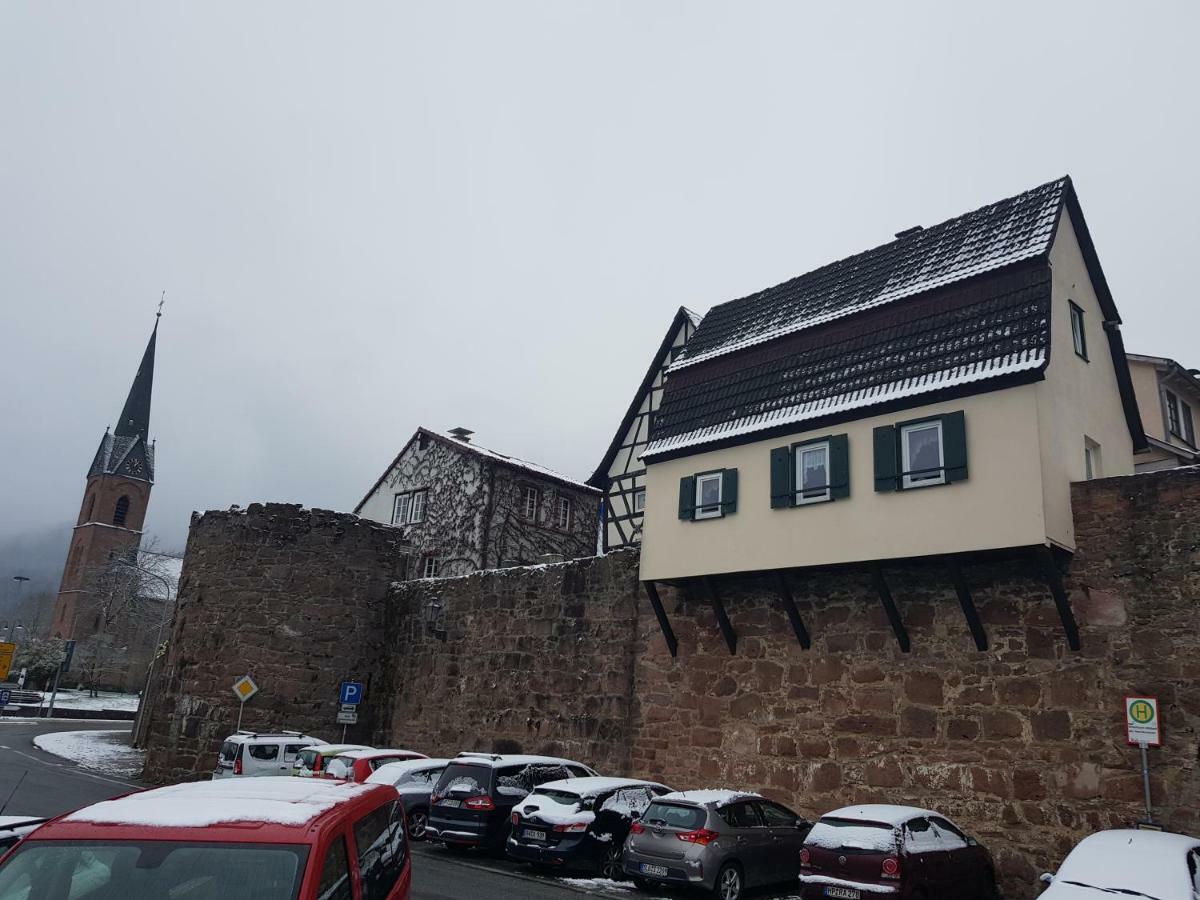 Zauberhafte Wohnung In Der Naehe Von Heidelberg, Top Lage Hirschhorn Exterior foto