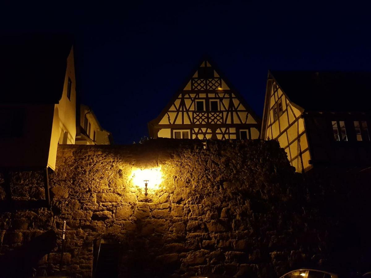 Zauberhafte Wohnung In Der Naehe Von Heidelberg, Top Lage Hirschhorn Exterior foto
