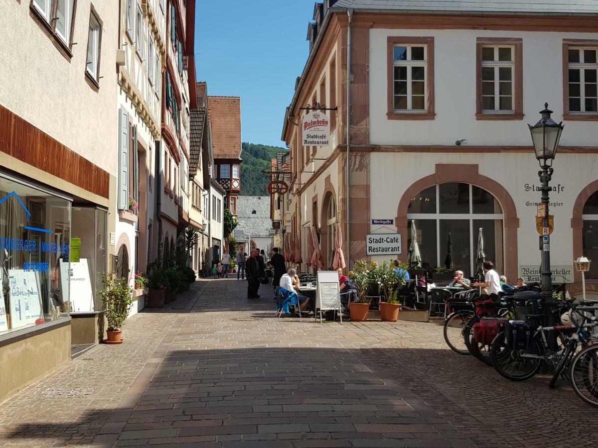 Zauberhafte Wohnung In Der Naehe Von Heidelberg, Top Lage Hirschhorn Exterior foto