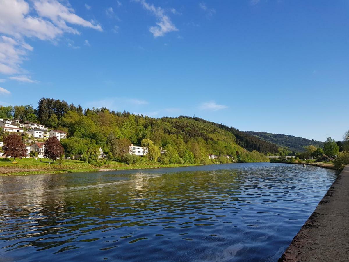 Zauberhafte Wohnung In Der Naehe Von Heidelberg, Top Lage Hirschhorn Exterior foto