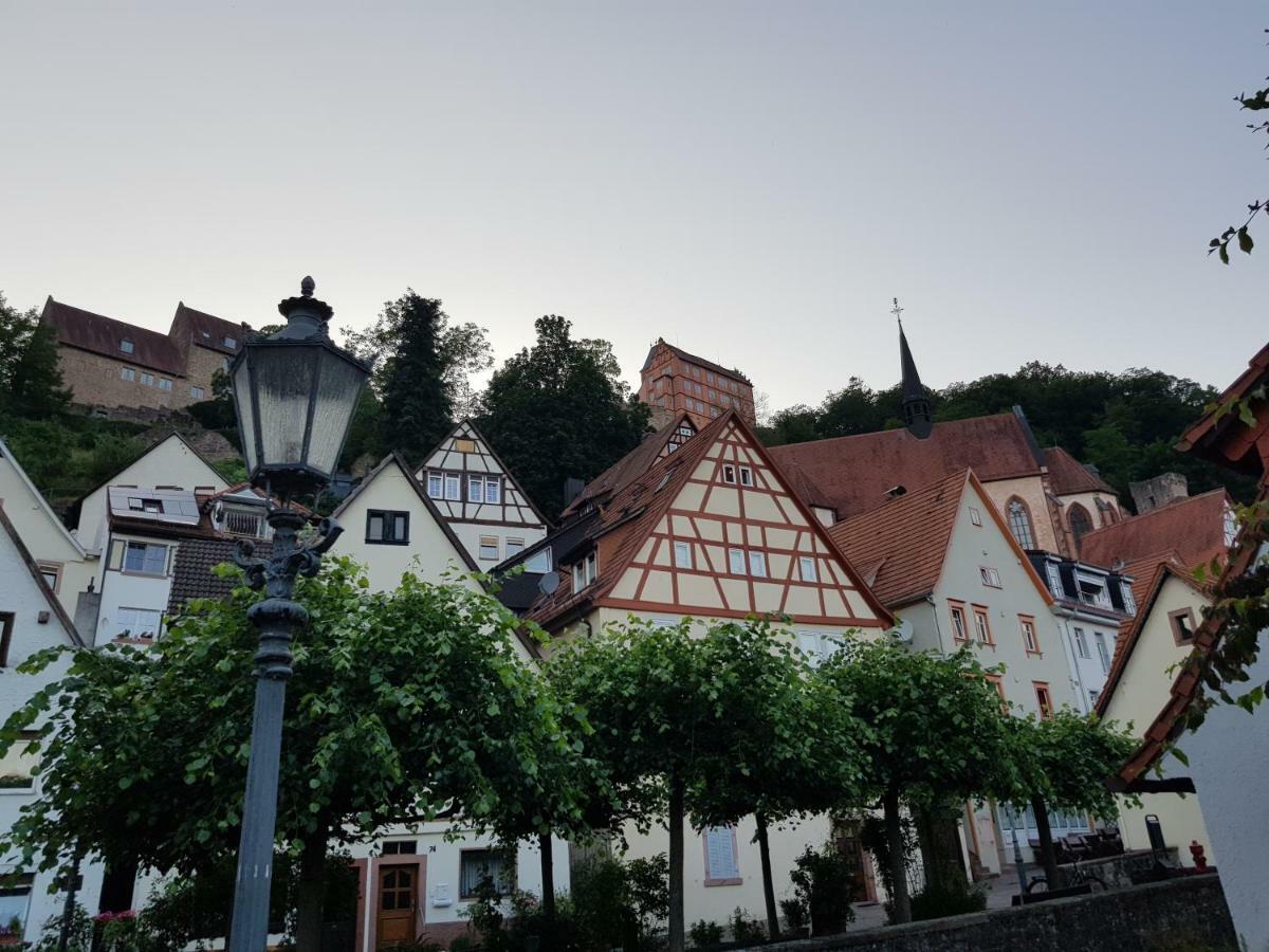 Zauberhafte Wohnung In Der Naehe Von Heidelberg, Top Lage Hirschhorn Exterior foto