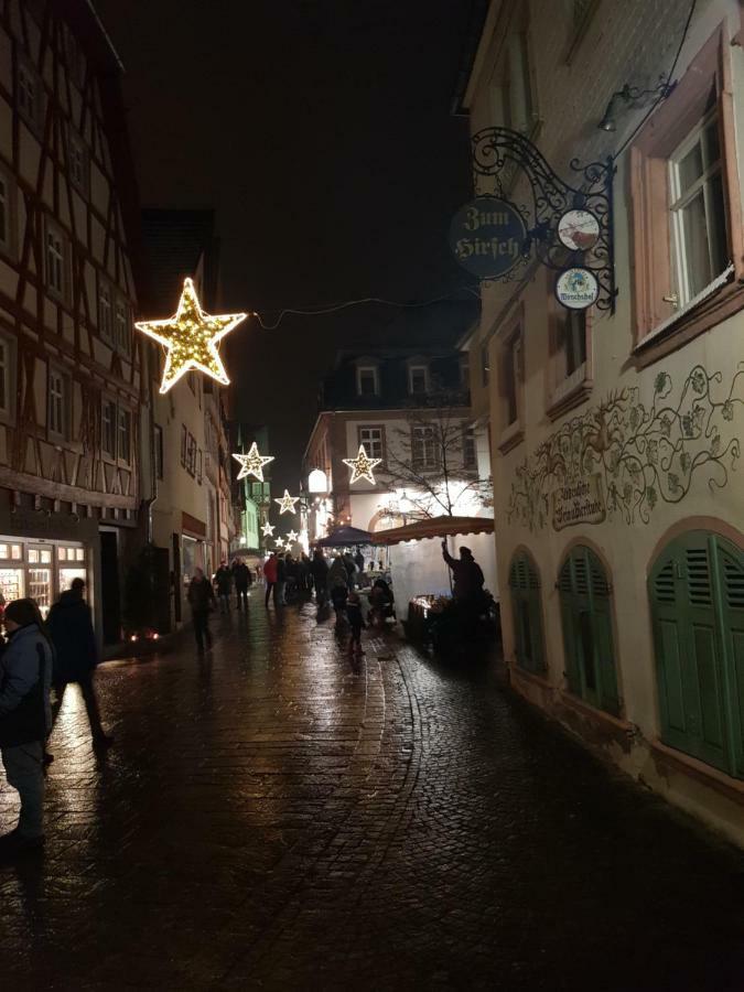 Zauberhafte Wohnung In Der Naehe Von Heidelberg, Top Lage Hirschhorn Exterior foto