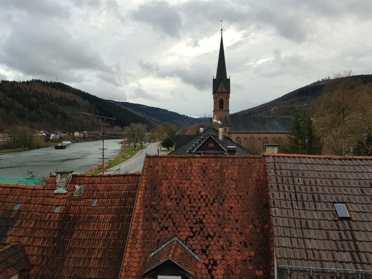 Zauberhafte Wohnung In Der Naehe Von Heidelberg, Top Lage Hirschhorn Exterior foto