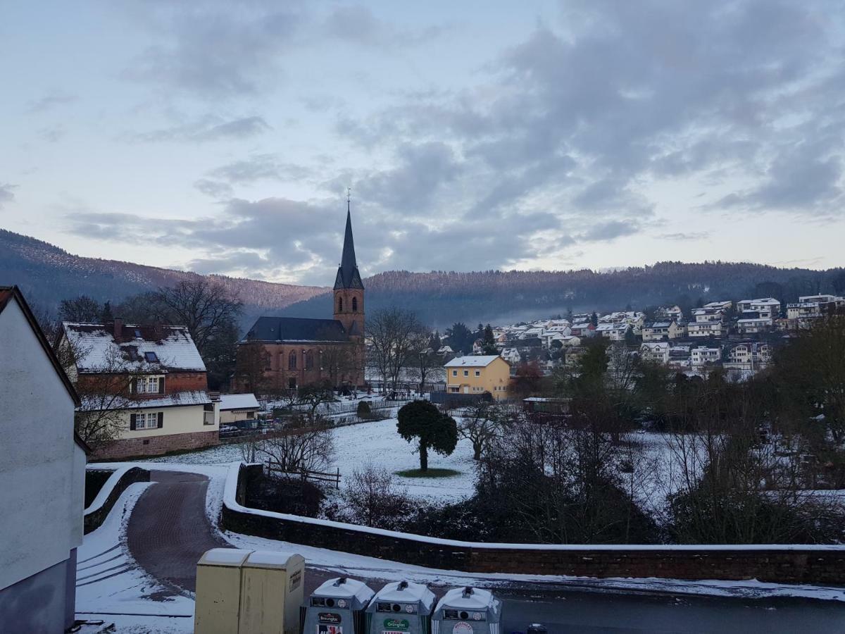 Zauberhafte Wohnung In Der Naehe Von Heidelberg, Top Lage Hirschhorn Exterior foto