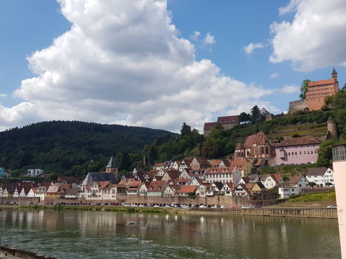 Zauberhafte Wohnung In Der Naehe Von Heidelberg, Top Lage Hirschhorn Exterior foto