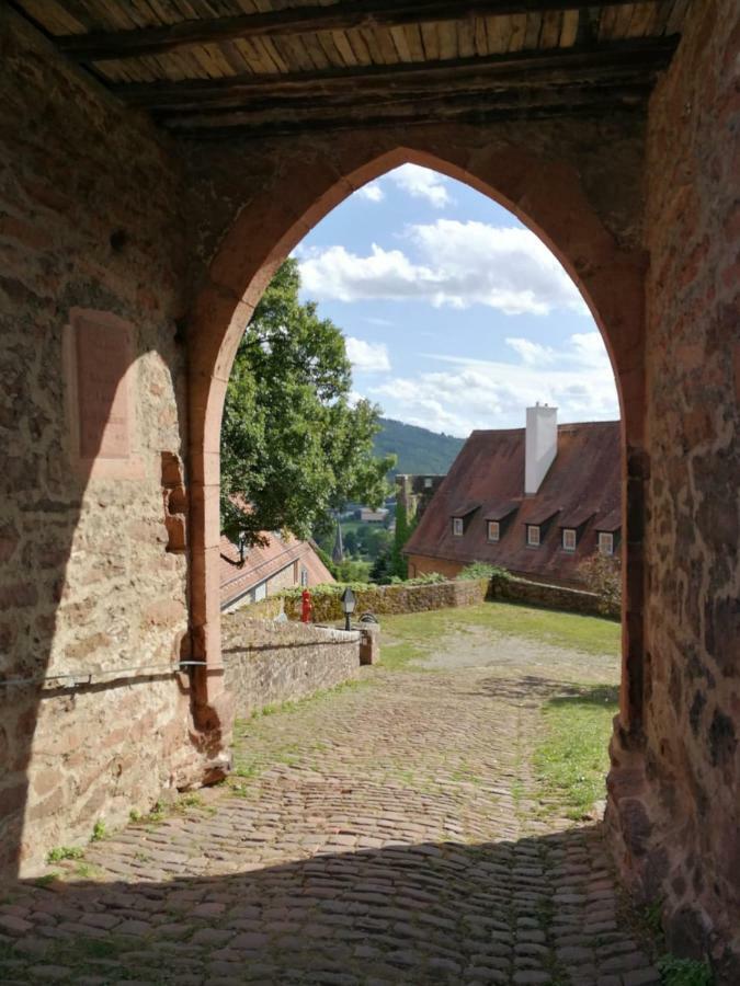 Zauberhafte Wohnung In Der Naehe Von Heidelberg, Top Lage Hirschhorn Exterior foto