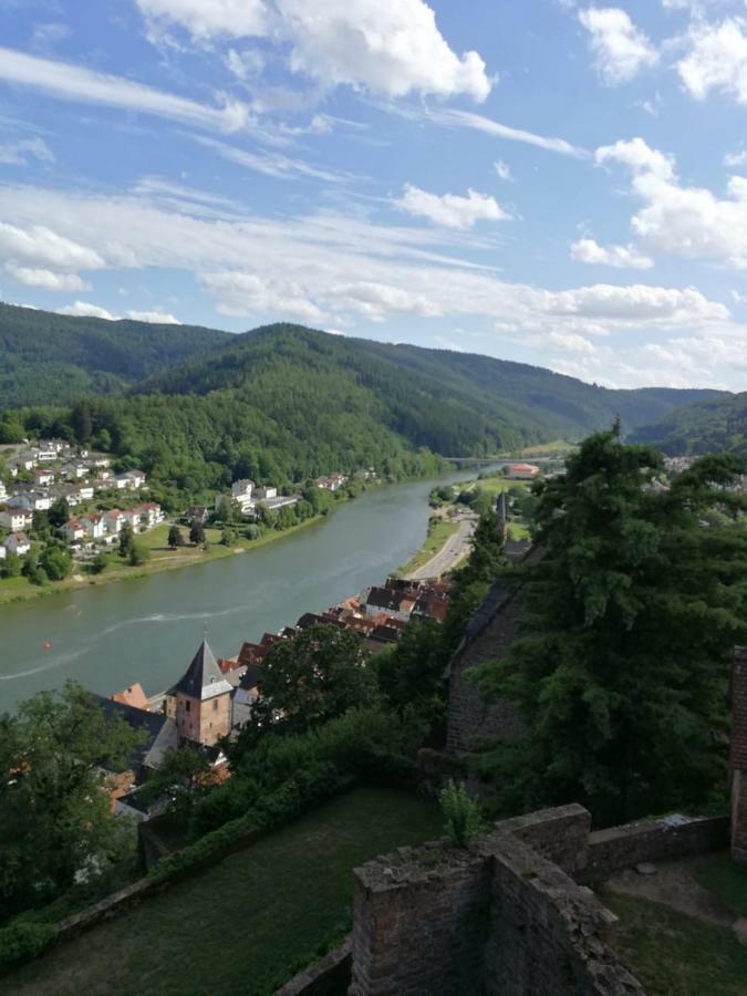 Zauberhafte Wohnung In Der Naehe Von Heidelberg, Top Lage Hirschhorn Exterior foto