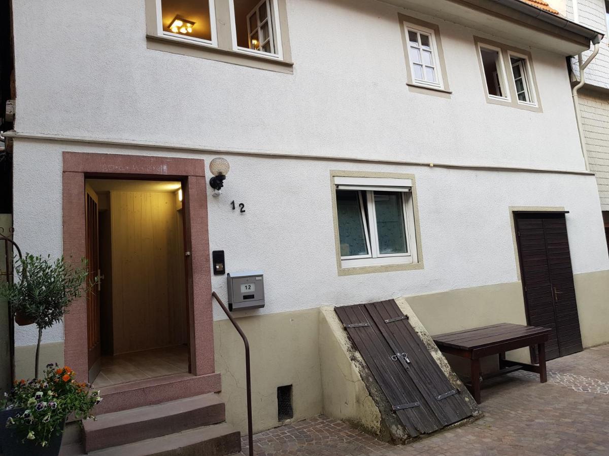 Zauberhafte Wohnung In Der Naehe Von Heidelberg, Top Lage Hirschhorn Exterior foto